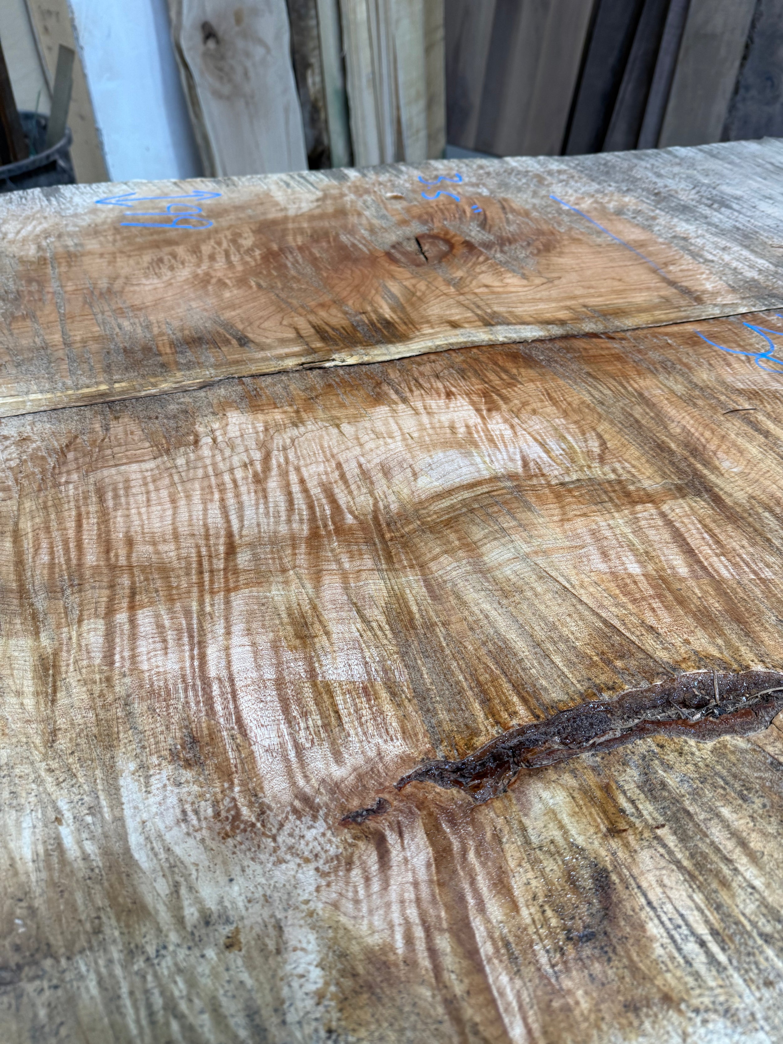 Curly Maple Live Edge CM04