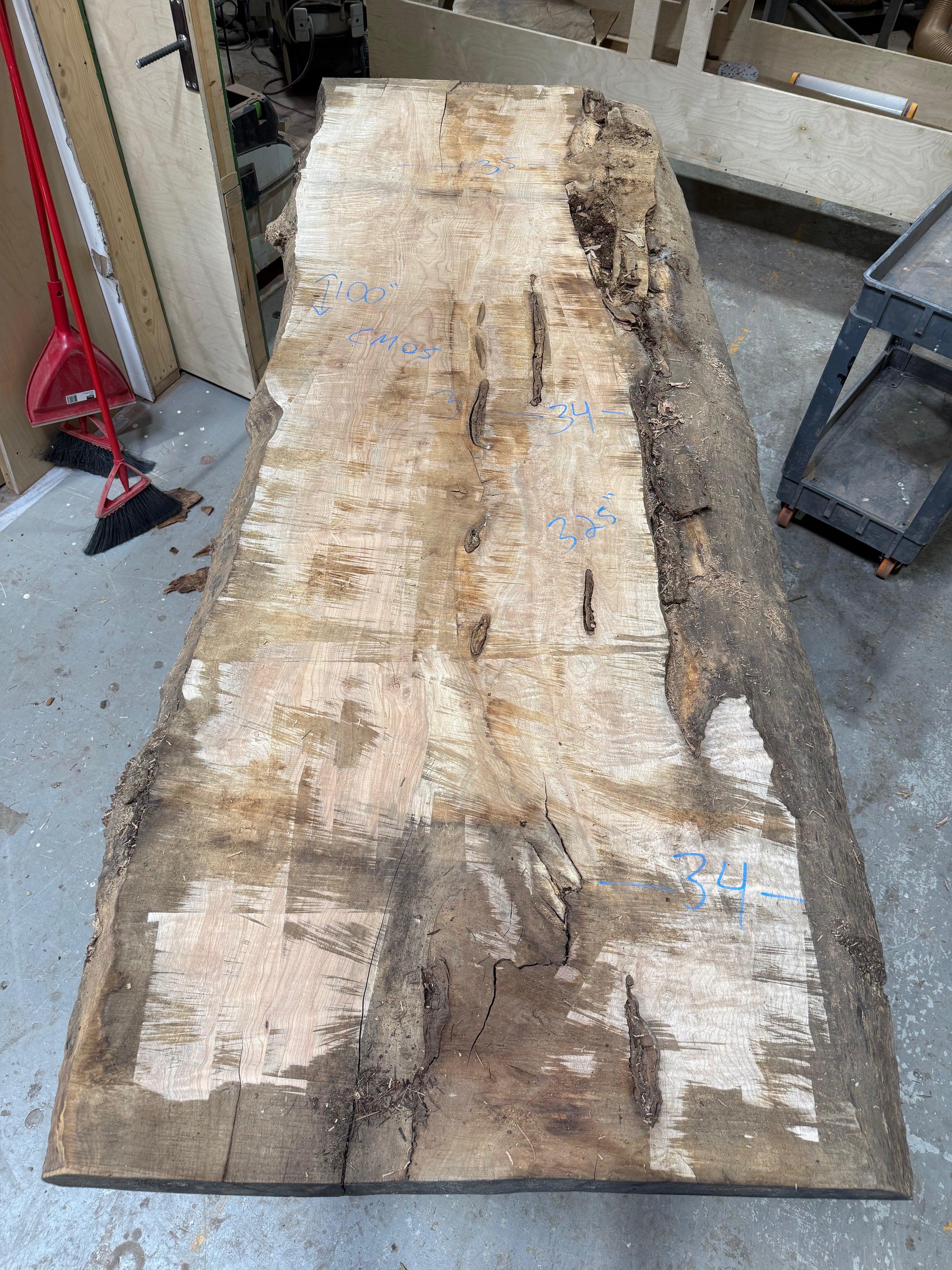 Curly Maple Live Edge CM05