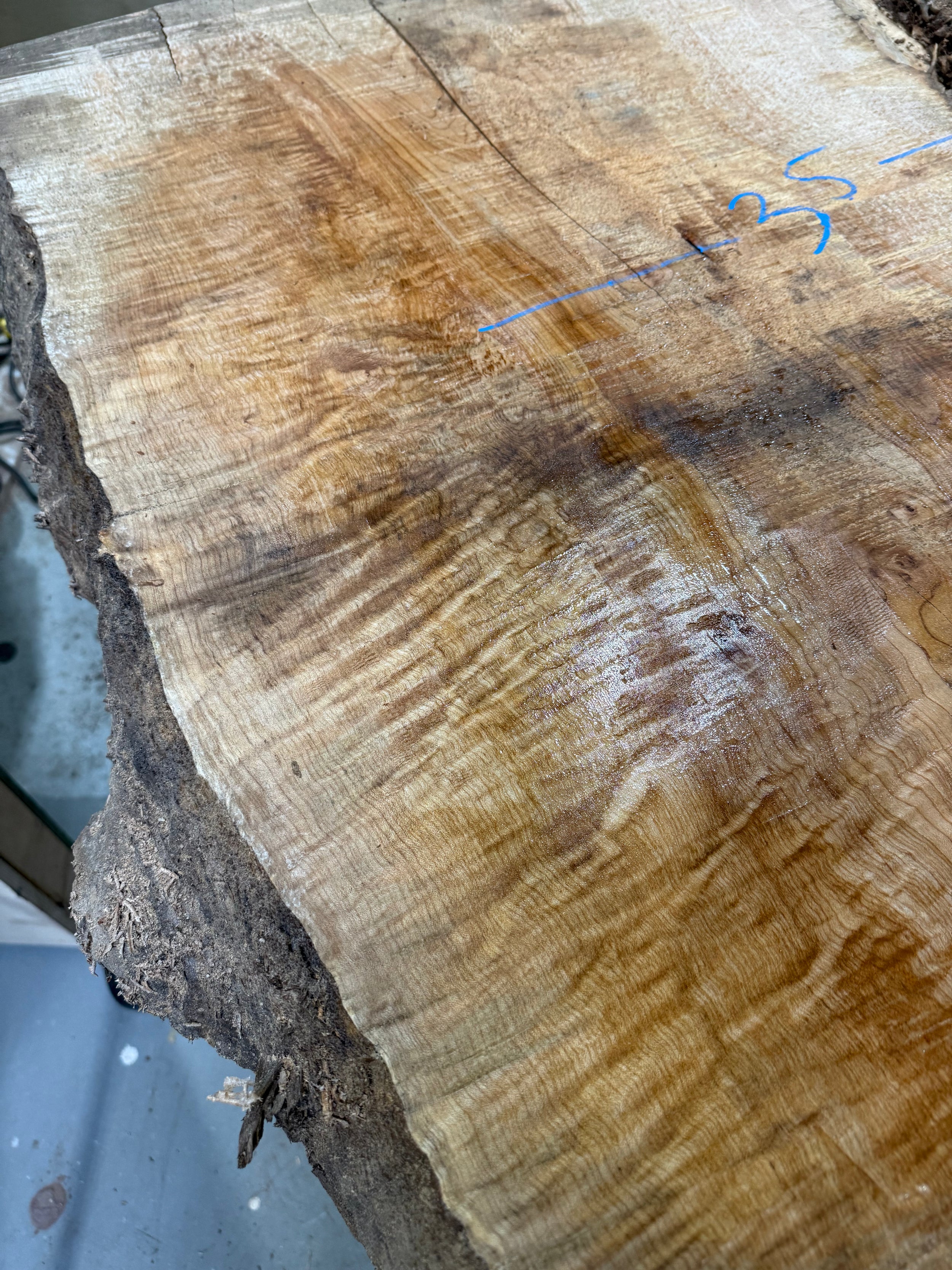 Curly Maple Live Edge CM05