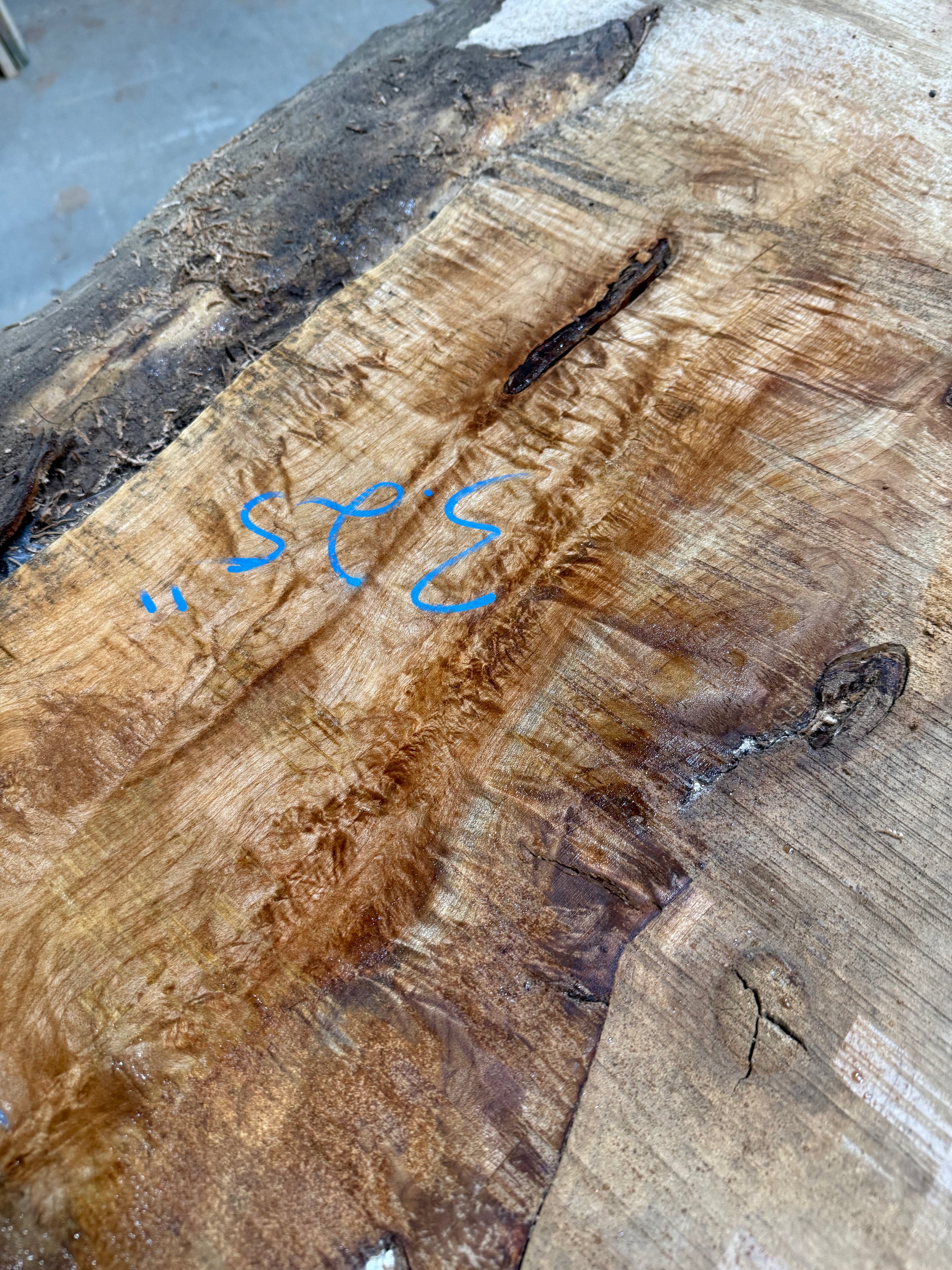 Curly Maple Live Edge CM05