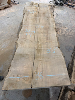 Big Leaf Maple Live Edge BLM01