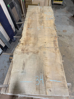 Big Leaf Maple Live Edge BLM02