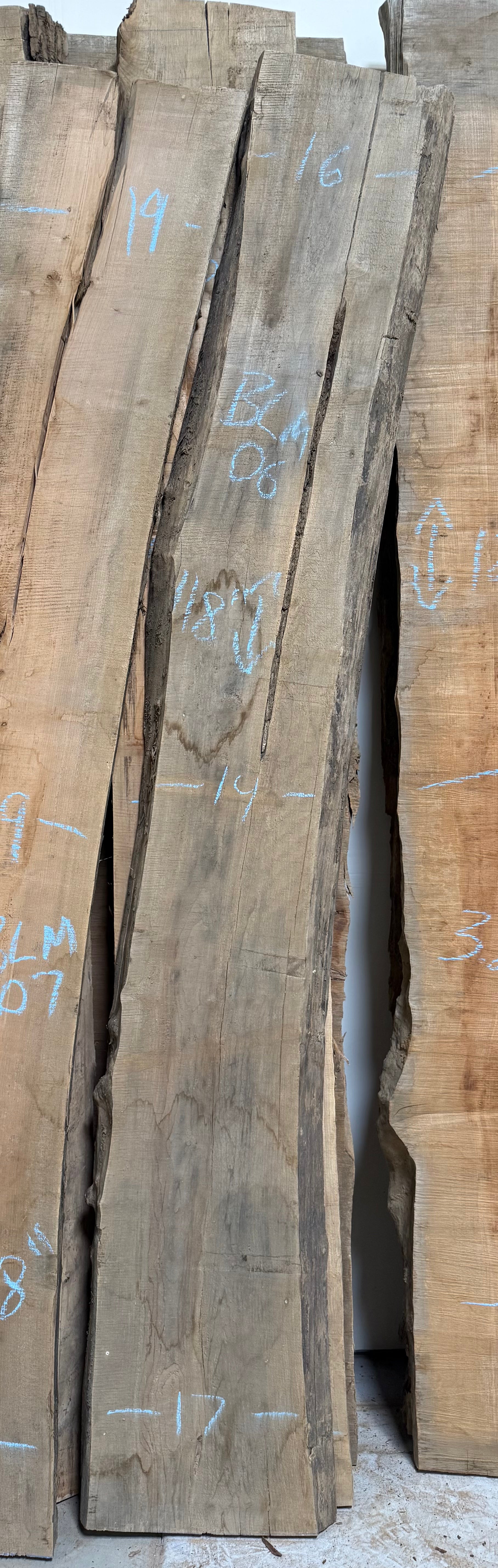 Big Leaf Maple Live Edge BLM06