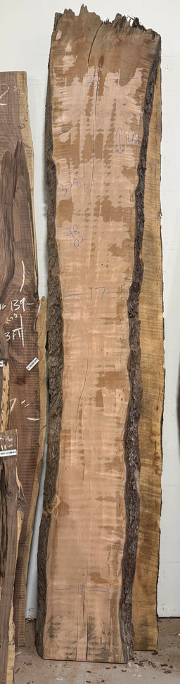 Arbutus Live Edge Slab AR02
