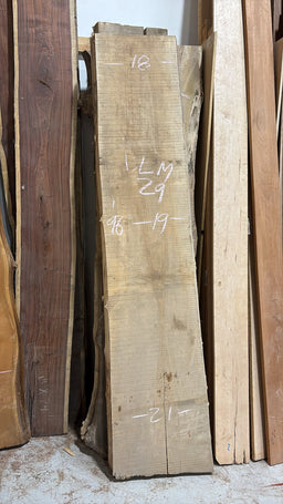 Big Leaf Maple Live Edge BLM29 18-21x95x3.5