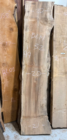 Big Leaf Maple Live Edge BLM32 20-21x99x2.5