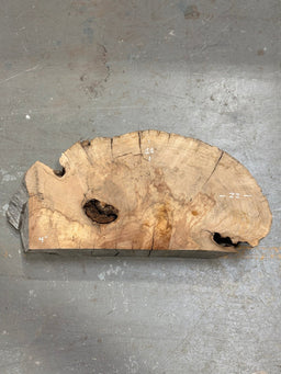Big Leaf Maple Burl BLMB01 - Live Edge Slab - Kingma Lumber Edmonton