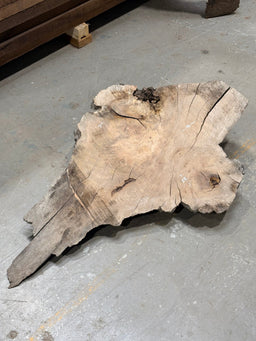 Big Leaf Maple Burl BLMB02 - Live Edge Slab - Kingma Lumber Edmonton