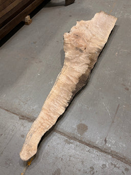 Big Leaf Maple Burl BLMB03 - Live Edge Slab - Kingma Lumber Edmonton