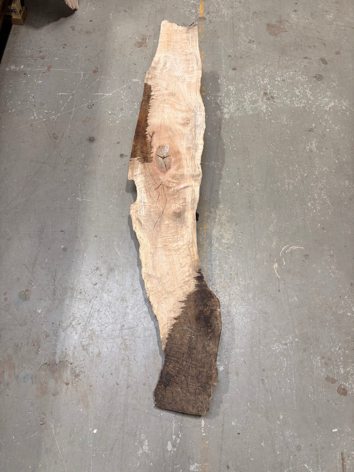 Big Leaf Maple Burl BLMB04 - Live Edge Slab - Kingma Lumber Edmonton