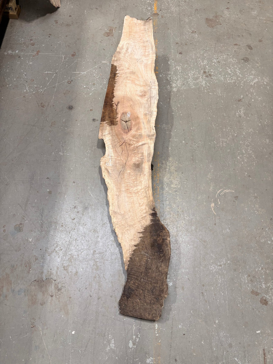 Big Leaf Maple Burl BLMB04 - Live Edge Slab - Kingma Lumber Edmonton