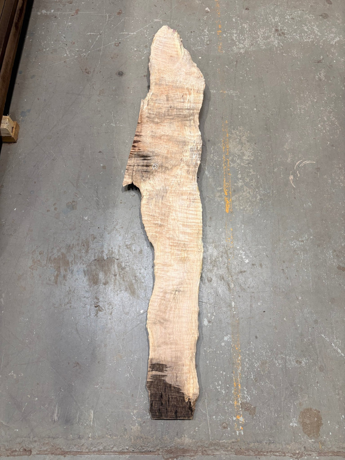 Big Leaf Maple Burl BLMB05 - Live Edge Slab - Kingma Lumber Edmonton