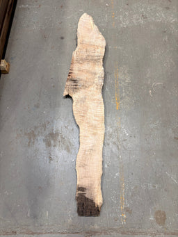 Big Leaf Maple Burl BLMB05 - Live Edge Slab - Kingma Lumber Edmonton