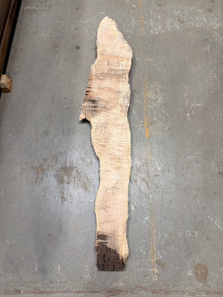 Big Leaf Maple Burl BLMB05 - Live Edge Slab - Kingma Lumber Edmonton