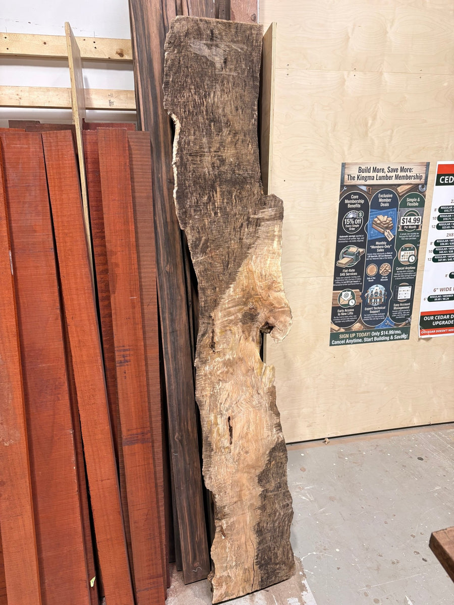 Big Leaf Maple Burl BLMB06 - Live Edge Slab - Kingma Lumber Edmonton