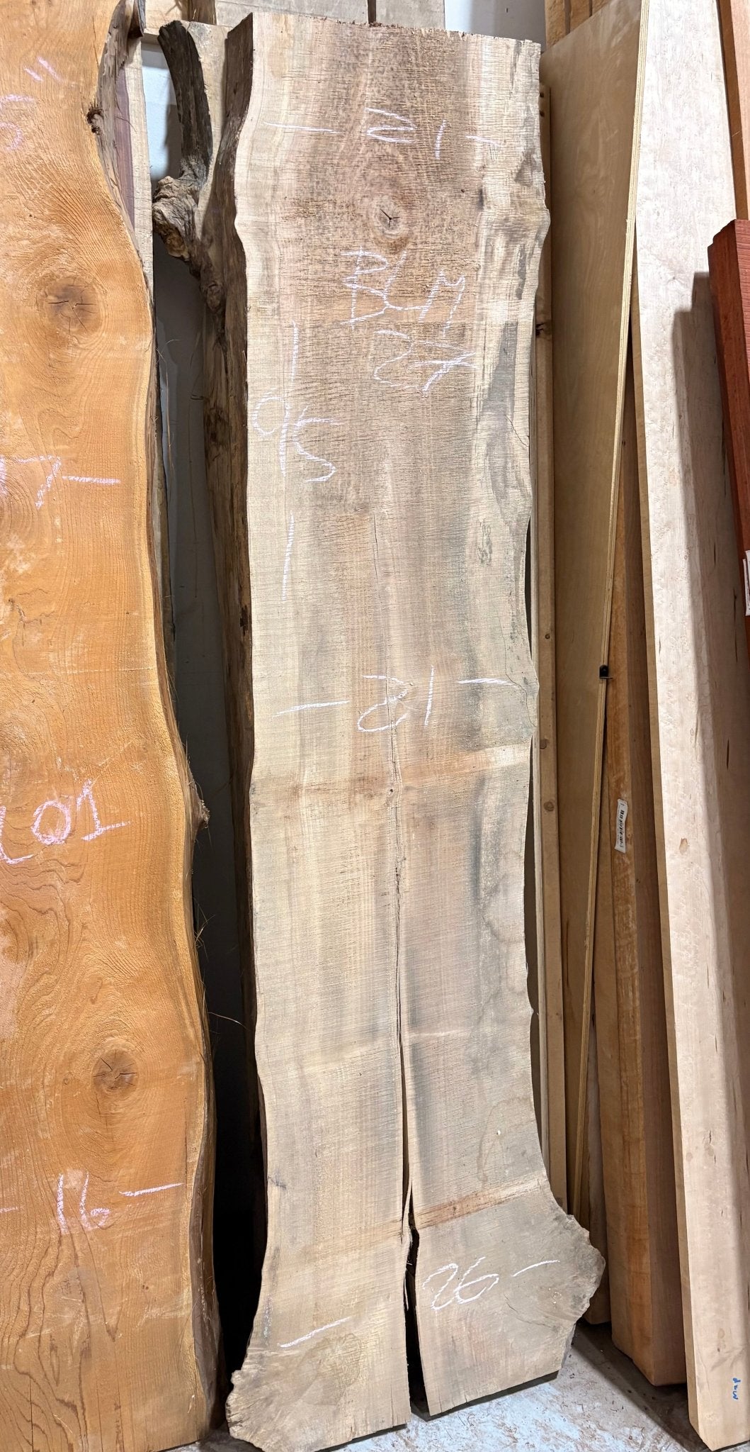 Big Leaf Maple Live Edge BLM27(21-26x95x3.5) - Live Edge Slab - Kingma Lumber Edmonton