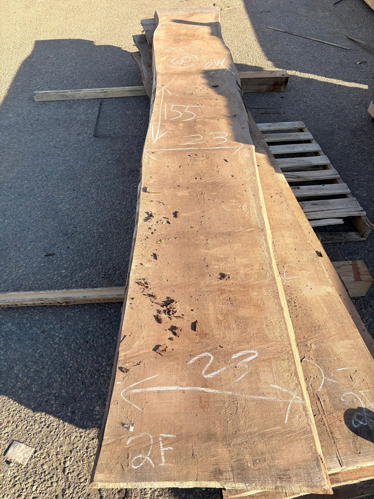 Black Walnut Live Edge Slab Bookmatch BWC77A (21-23x155x2.5) - Kingma Lumber Edmonton