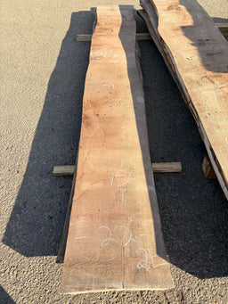 Black Walnut Live Edge Slab Bookmatch BWC77B (21-23x155x2.5) - Kingma Lumber Edmonton