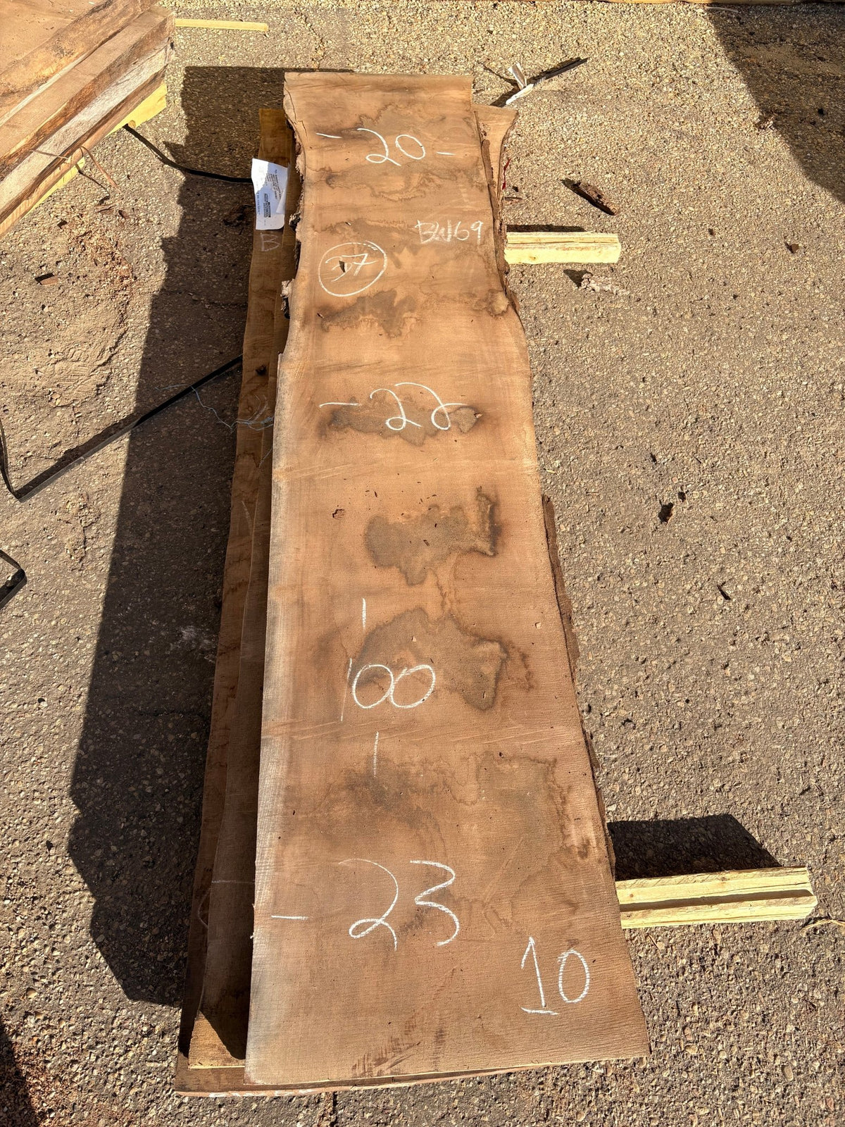 Black Walnut Live Edge Slab BWC69 (20-23x100x2.5) - Kingma Lumber Edmonton