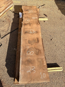 Black Walnut Live Edge Slab BWC69 (20-23x100x2.5) - Kingma Lumber Edmonton