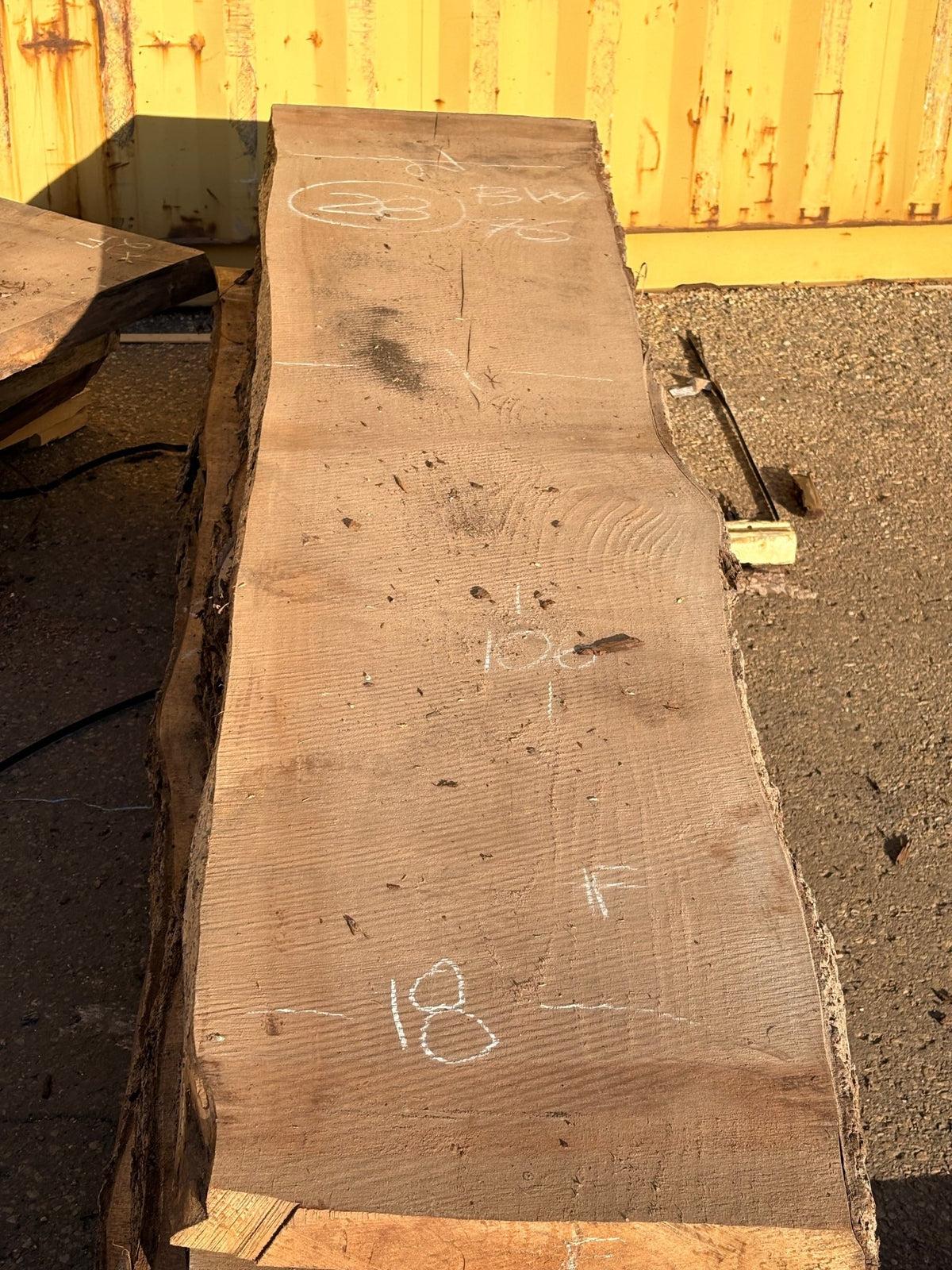 Black Walnut Live Edge Slab BWC76 (18-21x106x2) - Kingma Lumber Edmonton