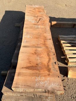 Black Walnut Live Edge Slab BWC80 (24-26x156x2.5) - Kingma Lumber Edmonton