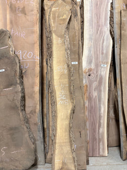 Black Walnut Live Edge Slab BWC83 (9-11x98x2) - Kingma Lumber Edmonton