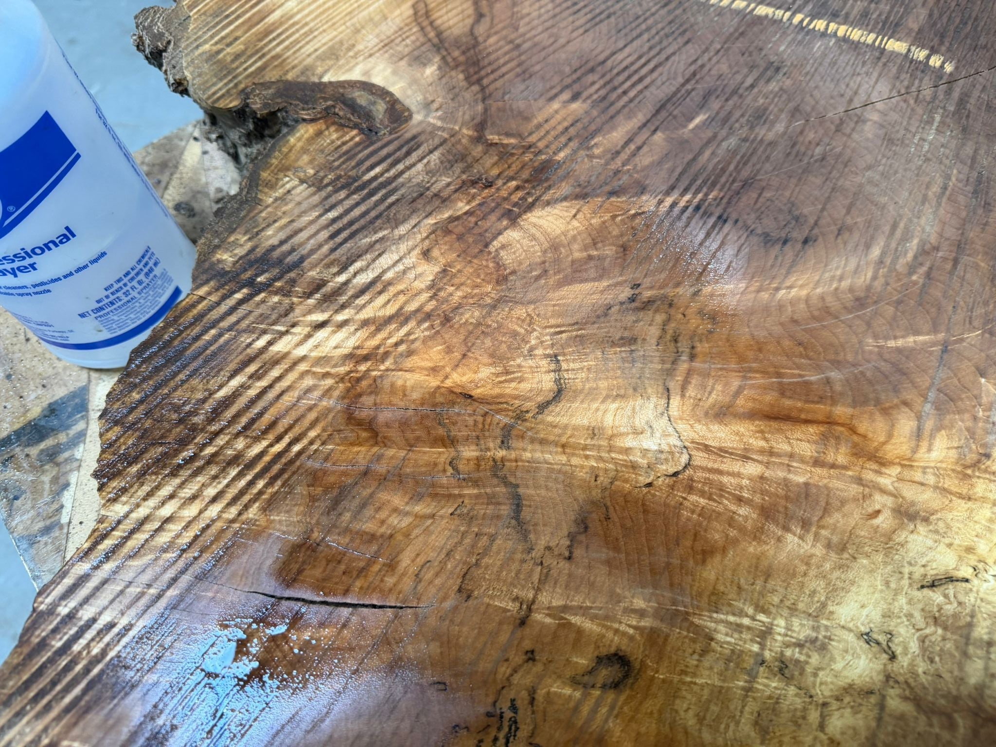 Black Walnut Spalted Tree Cookie BWR11 - Kingma Lumber Edmonton