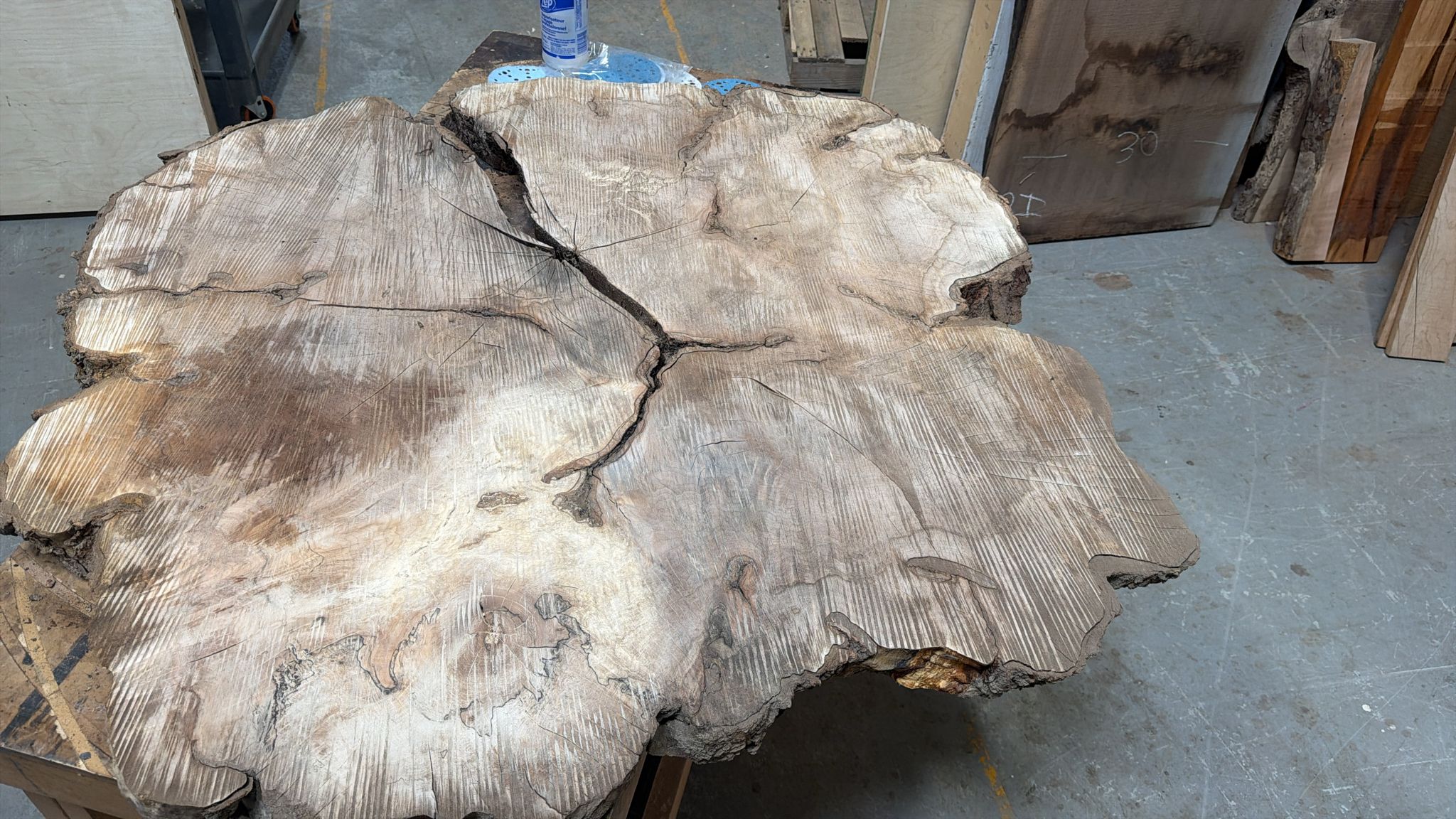 Black Walnut Spalted Tree Cookie BWR11 - Kingma Lumber Edmonton