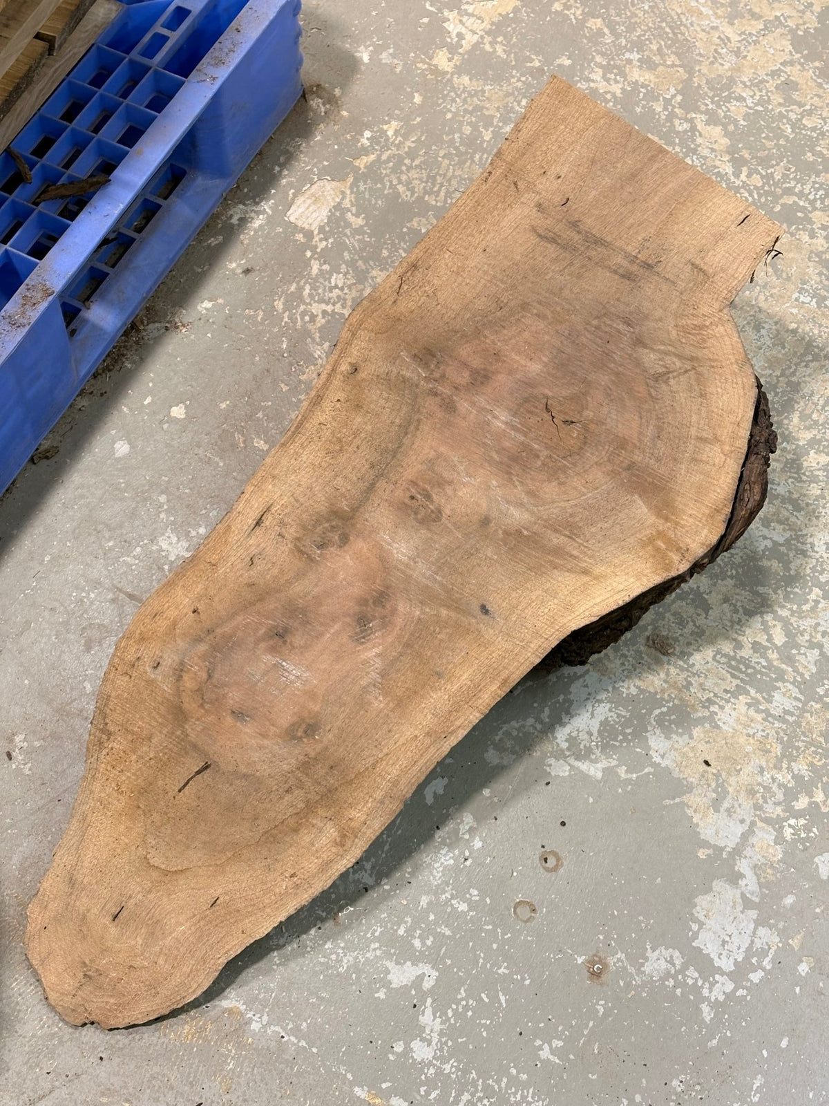 Claro Walnut Burl Slabs CLB011 - Kingma Lumber Edmonton