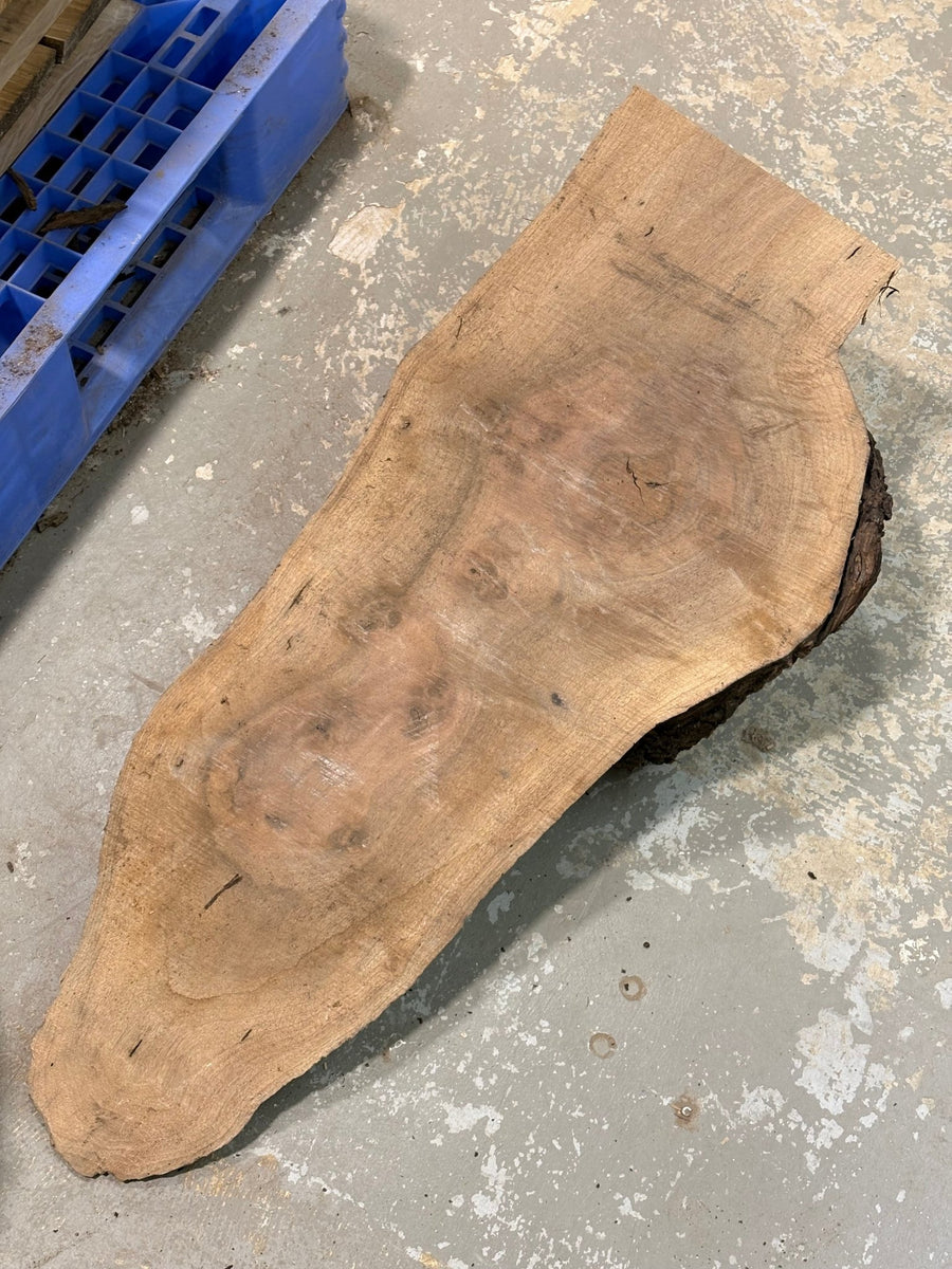 Claro Walnut Burl Slabs CLB011 - Kingma Lumber Edmonton