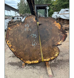 Claro Walnut Burl Slabs CLB02 - Kingma Lumber Edmonton