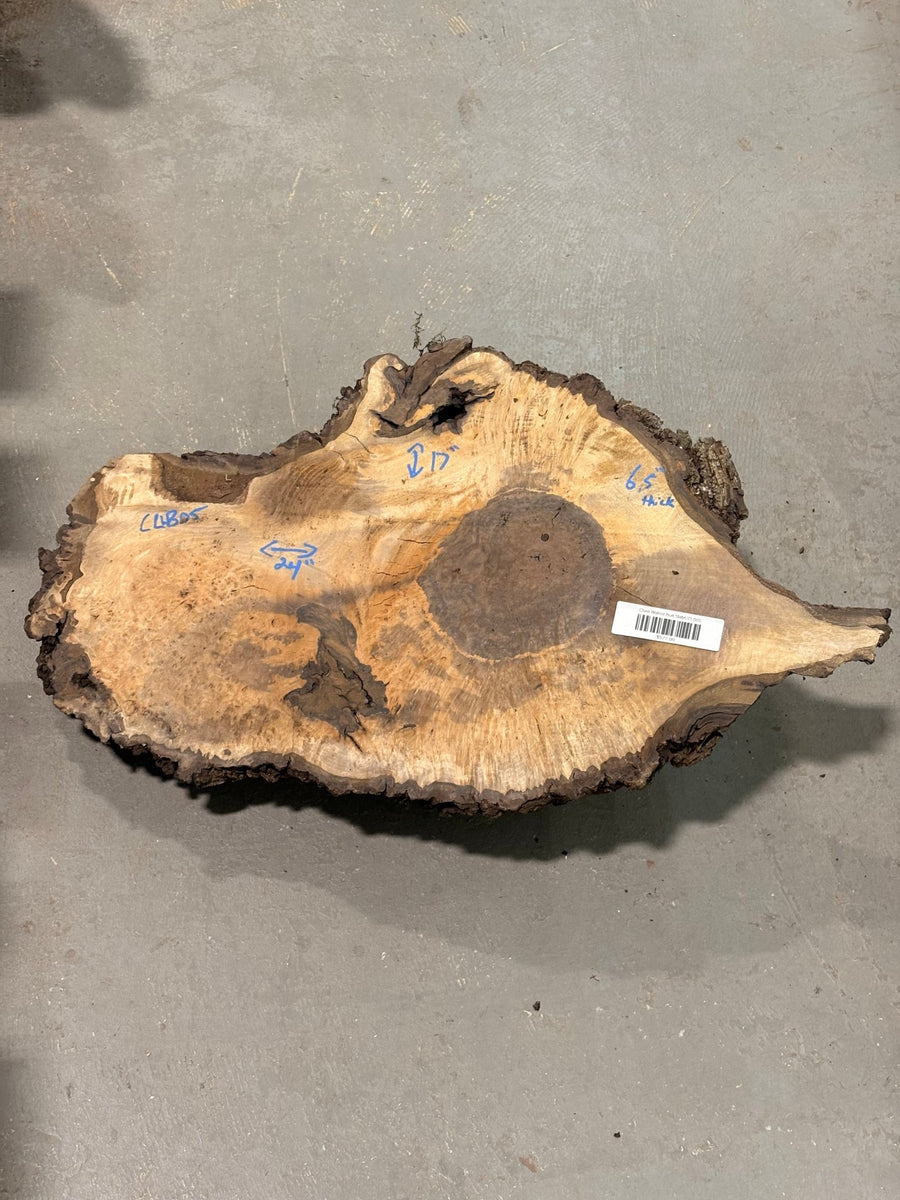 Claro Walnut Burl Slabs CLB05 - Kingma Lumber Edmonton