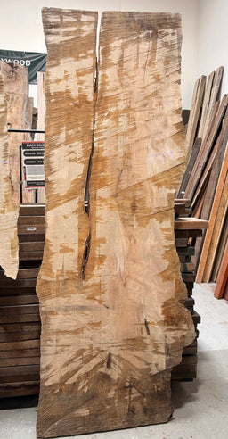 Curly Maple Live Edge CM09 - Kingma Lumber Edmonton