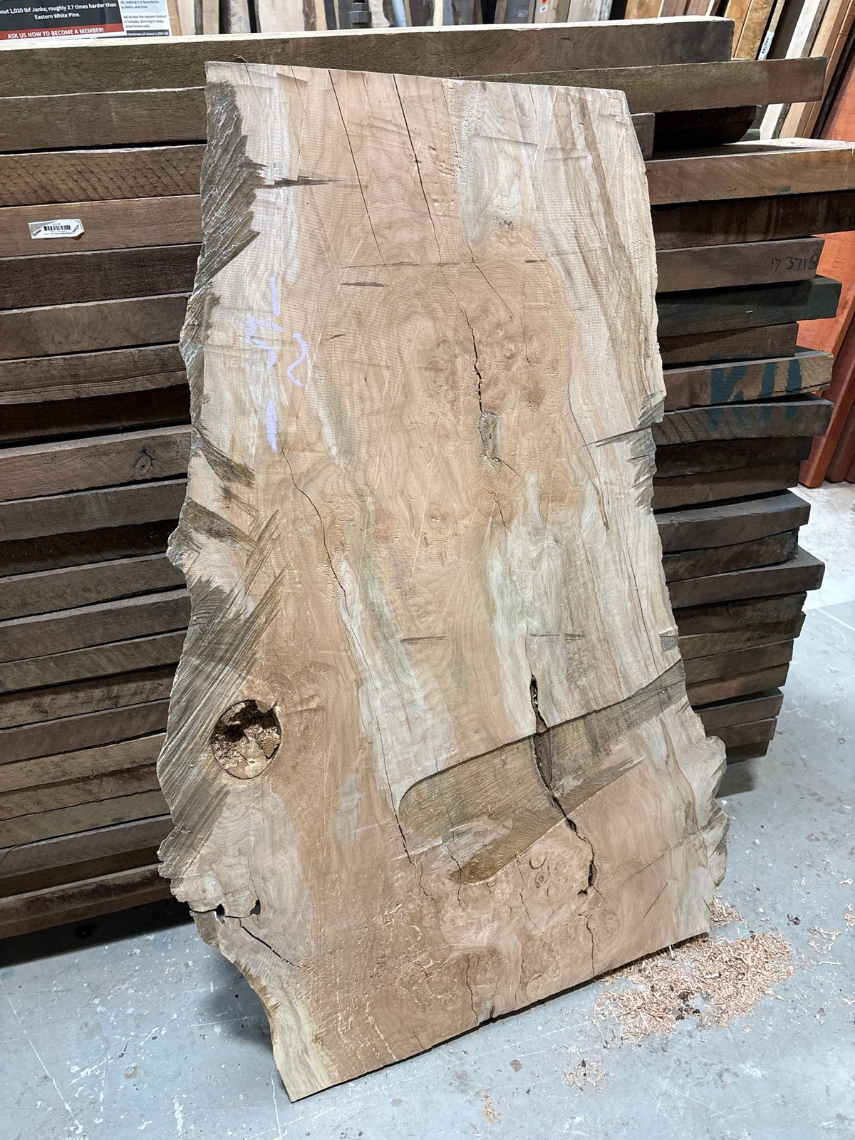 Curly Maple Live Edge CM10 - Kingma Lumber Edmonton