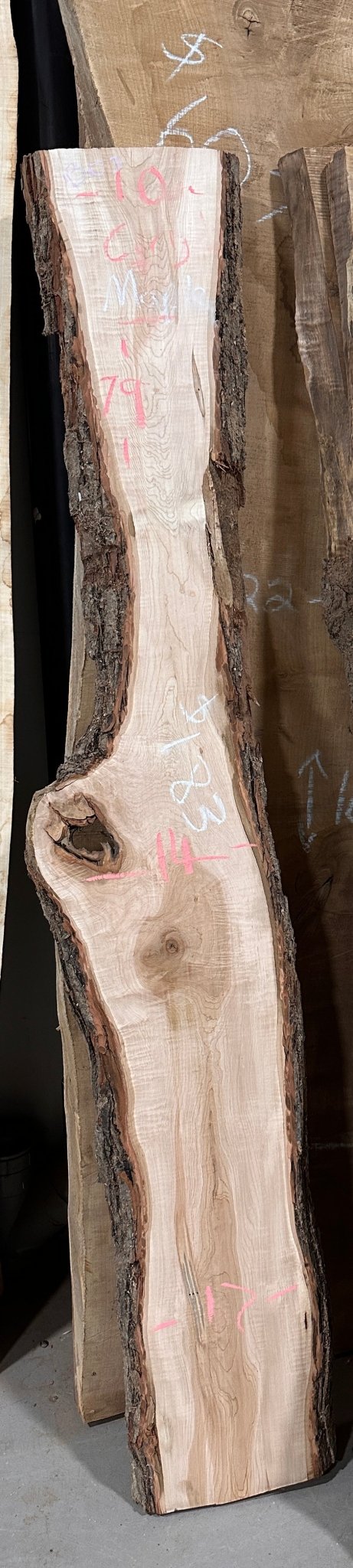 Curly Maple Live Edge Slab (B03) - Kingma Lumber