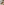 Eddie Charcuterie Board Handle Template - 11" x 3.75" - Templates - Kingma Lumber Edmonton