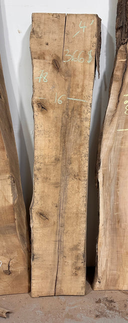 Hard Maple Live Edge HM21 - Slab 16" Wide, 78" Tall, 16/4" (4" Thick) - Kingma Lumber