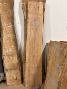 Live Edge Maple Slab (C28) - Kingma Lumber