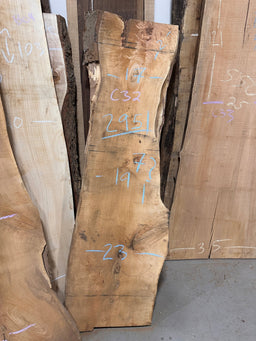 Live Edge Maple Slab (C32) - Kingma Lumber
