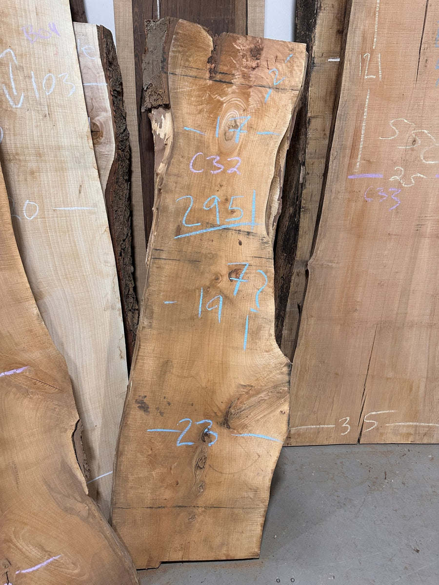Live Edge Maple Slab (C32) - Kingma Lumber