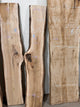 Live Edge Maple Slab (Surfaced) (C25) - Kingma Lumber