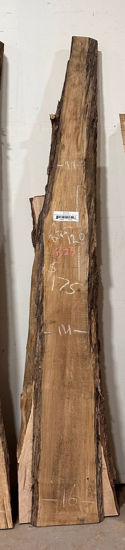 Premium Live Edge Maple Slab – 14" x 120" x 6/4 (B23) - Kingma Lumber