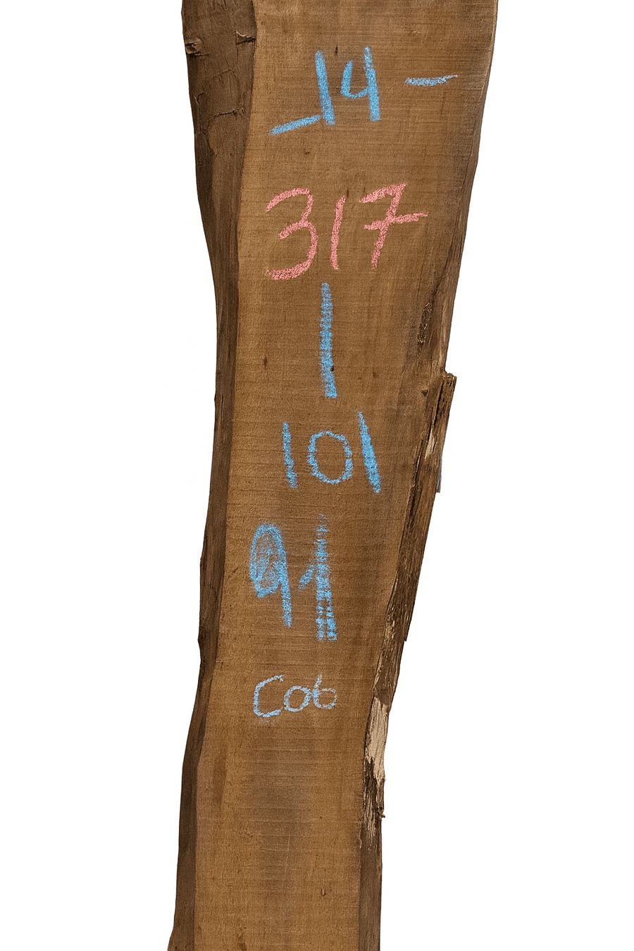 Premium Walnut Live Edge Slab (C06) - Kingma Lumber