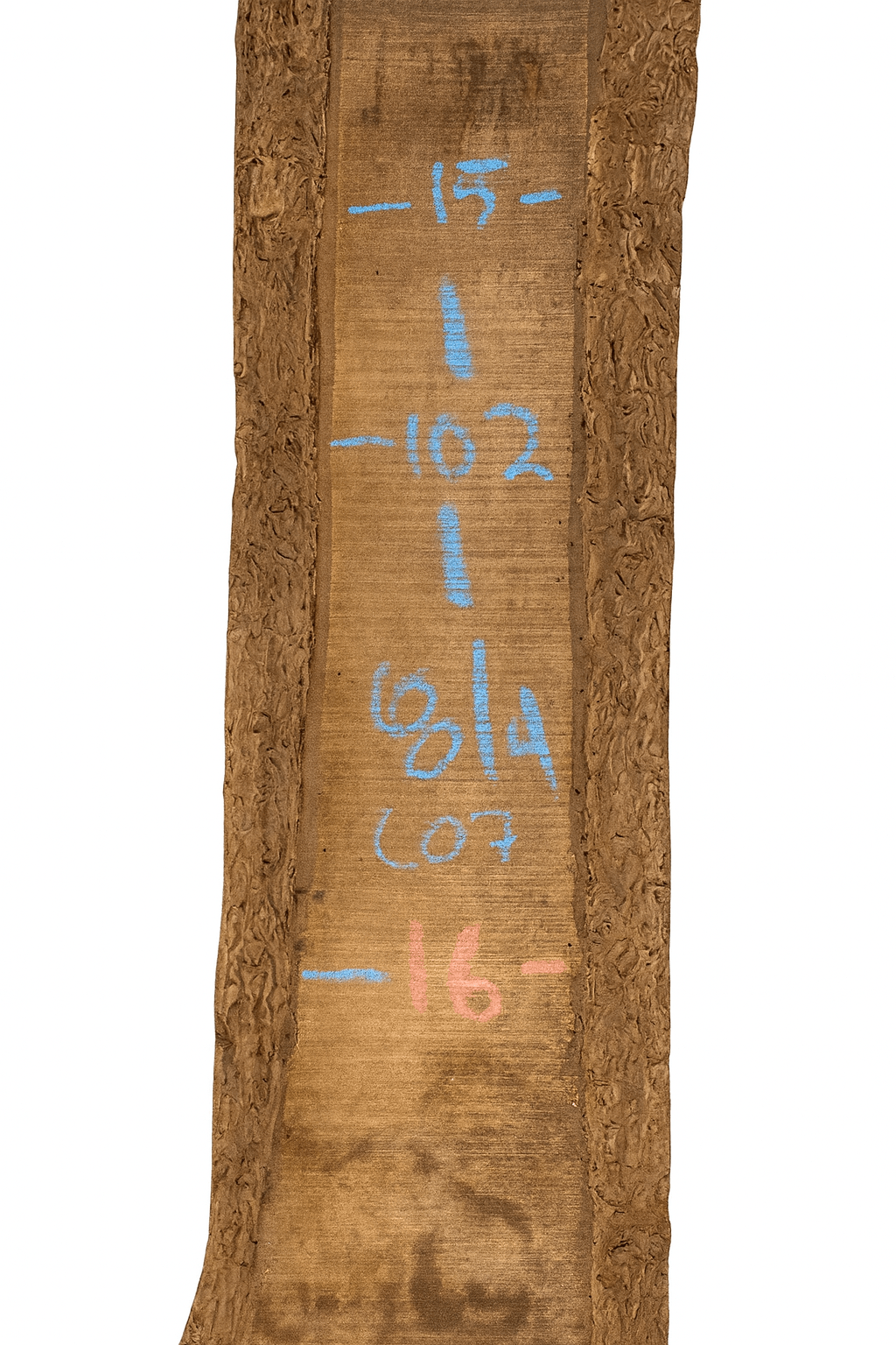 Premium Walnut Live Edge Slab (C07) - Kingma Lumber