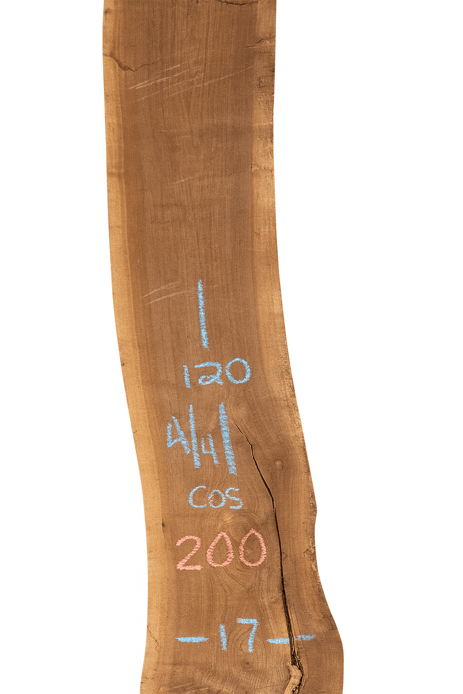 Premium Walnut Live Edge Slab (C09) - Kingma Lumber