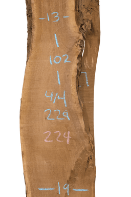 Premium Walnut Live Edge Slab (C10) - Kingma Lumber