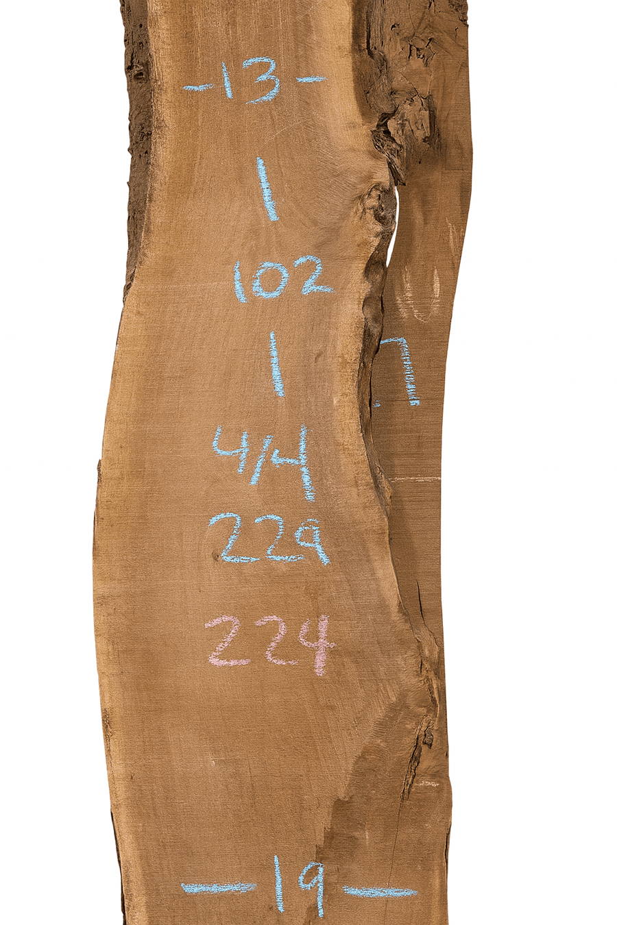 Premium Walnut Live Edge Slab (C10) - Kingma Lumber
