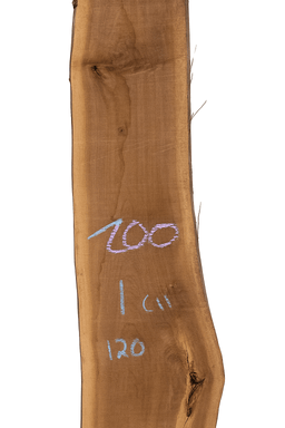 Premium Walnut Live Edge Slab (C11) - Kingma Lumber