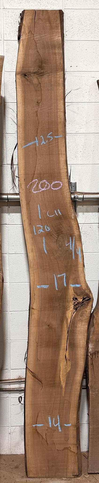 Premium Walnut Live Edge Slab (C11) - Kingma Lumber